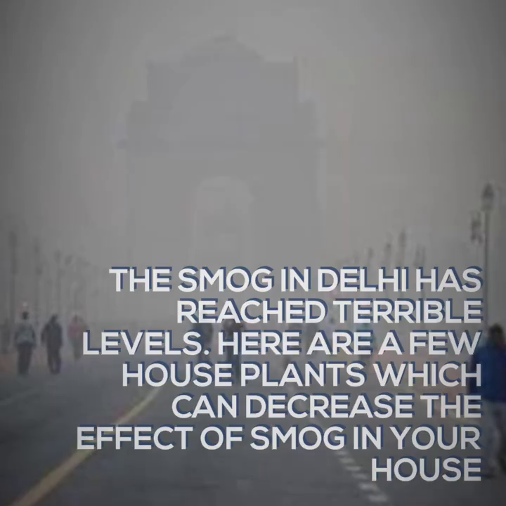 smog